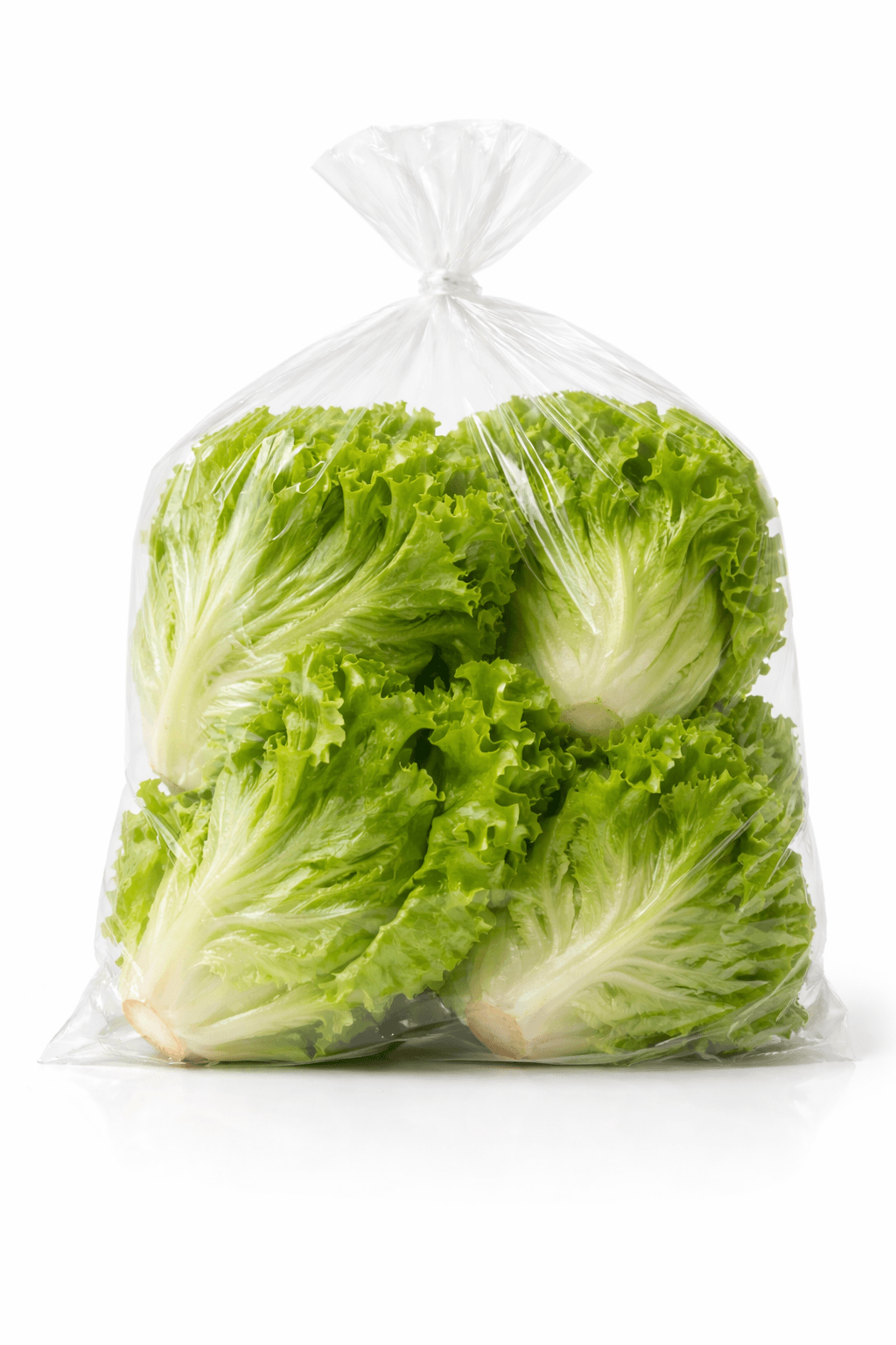 Lettuce